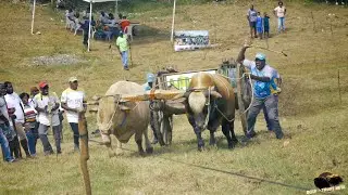 GRAND PRIX VOLCAN - MAUDETTE - SAINTE ANNE - 11 NOVEMBRE 2023 - Catégorie C