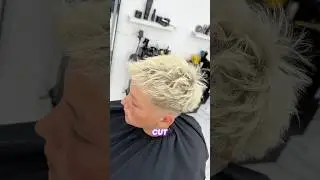The Haircut: Bleach Blonde, Textured Drop Fade #bleached #blonde #textured #dropfade #frostedtips