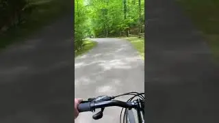 1 Hour Virtual Cycling bike ride with motivation music link in description #4k #shorts