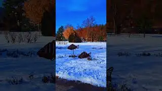 Crispy sunshine and calm waters at Lake W&ouml;rthersee#shortvideo#snow #austria #LakeW&ouml;rthersee #shorts