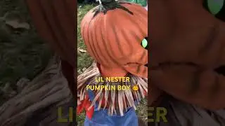 PUMPKIN BOY LIL NESTER #halloween #spirithalloween #scary #shorts #fall