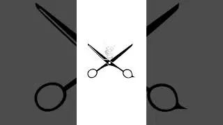 Promo barber school logo design animation barber