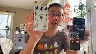 Octave Pedals: Boss OC-5 vs OPFXS Dig Deep (or V-UNO)