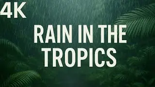 Rain sound &mdash; 1 hour. Relax and enjoy nature.Звук дождя 1 час. Расслабься и слушай. Yomg&lsquo;ir shovqini