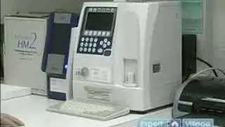Cat Dental Health & Tooth Care : Pre-Anesthesia Blood Work for Cats