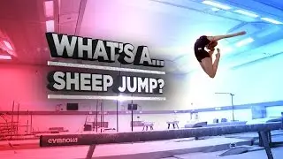 Gymnastics Explained - Sheep Jump