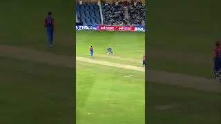 HARDIK PANDYA💥FIELDING👏👏 #cricket #shortsfeed #indiancricketer #hardikpandya #hardikpandyafans #yt