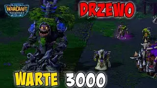 GROM?! Czy to naprawdę on?! Warcraft 3 Reforged Kampania Orc #21