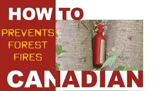How to prevent forest fires