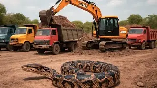 3Truck Loading With Ducks Jasb and Earning Lakhs | 3Dx Jcb Backhoe Machine | 3dx Jcb Video