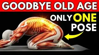 Over 50? Japan's Secret to Pain-Free Mobility at 85 (Child's Pose!)
