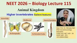 Features of Annelida Arthropoda Mollusca Echinodermata & Hemichordates #neet #animalkingdom #study