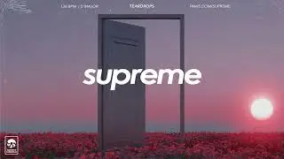 (FREE) Sad Piano Sample No Drums | Billie Eilish Loop | 