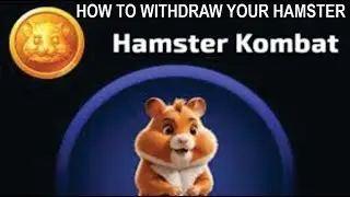 HAMSTER COMBAT: how to withdraw your reward before it's too late. fastest way to become millionaire