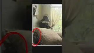 Terrifying Moments Captured In Photos #shorts #shortvideo #scary
