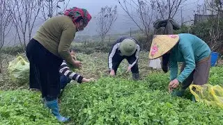 precious time for a family of four working together | Sùng Thị Dinh |