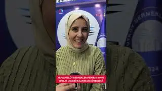 Федерация ассоциаций Арнавуткёя организовала вечер встречи выпускников #новости #ассоциация