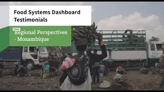 Food Systems Dashboard Country Perspectives: Mozambique