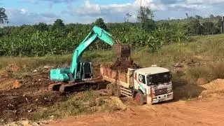 Big truck and excavator working together to remove something from the soil
