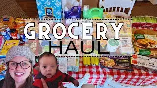 Large Family Grocery Haul | ALDI & COSTCO