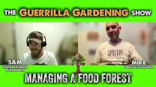 Guerrilla Gardening Show Ep #24 Food Forest Management