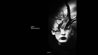 Indefinte Pitch PREMIERES. &Oslash;SC - Pantomysterium [Khoros Records]