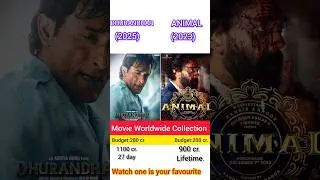Dhurandhar vs Animal movie box office collections comprising #dhurandhar #animal #vairalvideo