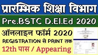 BSTC Online Form 2020 || kaise Bhare Pre D.El.Ed Online Form 2020||How to Fill BSTC Online Form 2020