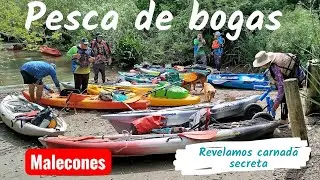 Pesca de bogas(en malecones/carnada secreta)