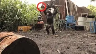 Epic gun and explosives fails compilation 2020