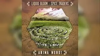 Liquid Bloom & Spice Traders - Anima Mundi (Moon Frog & Mxxnwatchers Remix)