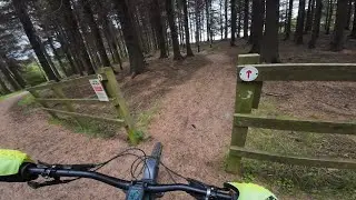 Auchengean Trail | Calendar Estate MTB Trails