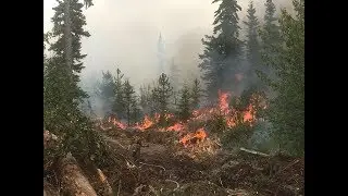 Slave Lake (Muskwa) Unit Crew- 2017 Alberta Wildfire Season