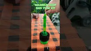 ЛУЧШЕЕ УЛУЧШЕНИЕ АКВАРИУМА ОТ @AquariumCoop ОБЯЗАТЕЛЬНО К ПРОБЛЕМЕ 🐡