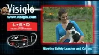 VISIGLO ILLUMINATED SAFETY COLLAR