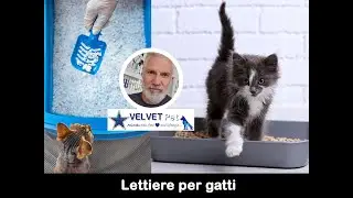 VELVET Lab - Lettiere per gatti
