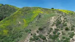 Granada Hills, CA - drone footage from April 20, 2025 - shorter version