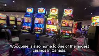 Spending My Weekend At Woodbine Racing And Casino #woodbine #racing #casino