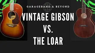 Gibson VS. The Loar WHICH ONE IS BETTER?????