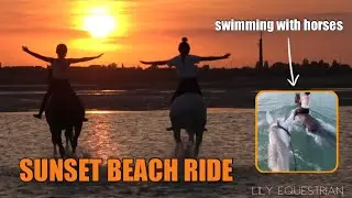 SUNSET BEACH RIDE | Swimming with horses | GoPro