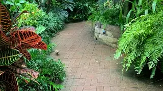 Lamberton Conservatory: Unveiling the Hidden Beauties of the Arboretum