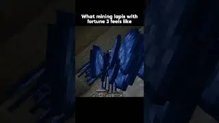 Fortune III and Lapis lazuli 💀