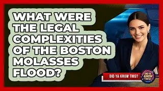 What Were The Legal Complexities Of The Boston Molasses Flood? - Did Ya Know This