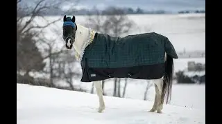 BARN VLOG #28 | Snow Photoshoot with My Horse!