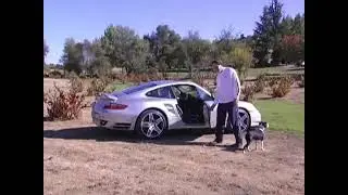 Classic Dog Training with David Baron (2007&ndash;2008) ⏐ Service Dogs for Sale ⏐ Legacy Video