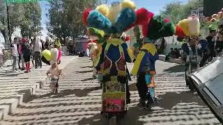 Casta De Guerreros Toltecas de Ags 