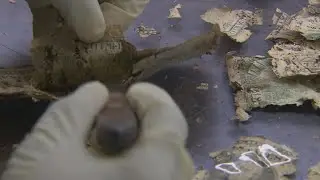 Cashing in your mutilated money