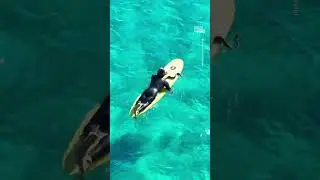 Australian Man Receives Fine for Surfing With Pet Python