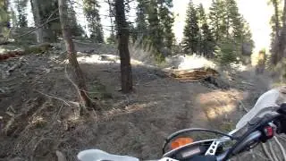 Piutes - Cold spring trail