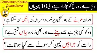 Majeedar Paheliyan | Dilchasp paheliyan in urdu hindi | Majeedar Riddles IQ Test Questions in Hindi